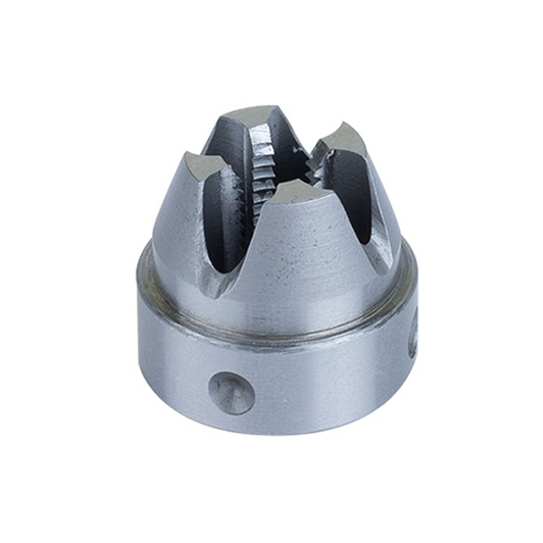 acron4.jpg