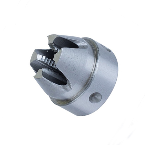 acron5.jpg