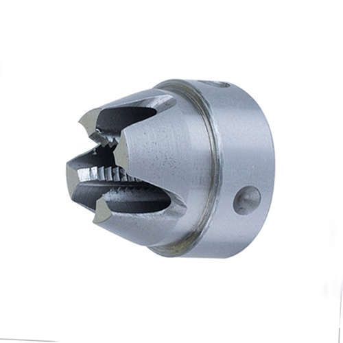 acron6.jpg